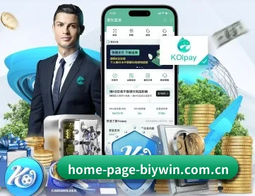 home-page-biywin.com.cn APP 深度功能