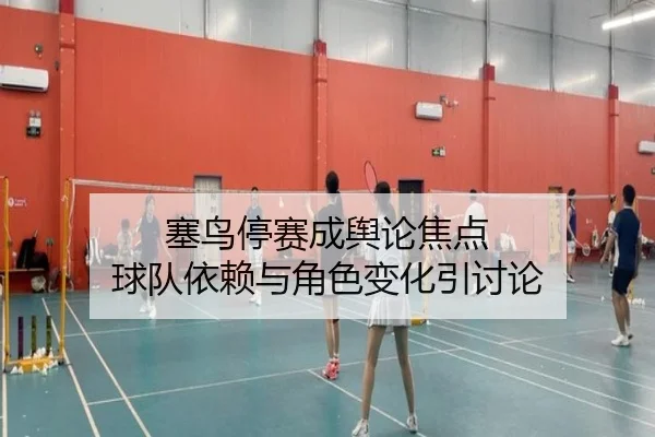 塞鸟停赛成舆论焦点 球队依赖与角色变化引讨论